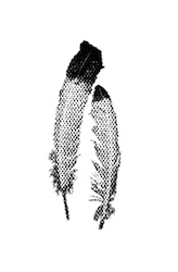 Dakhota Feathers Graphic